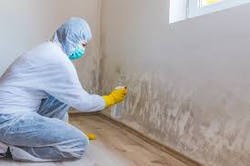 Best Biohazard Mold Removal  in Portales, NM