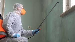 Why You Should Choose Our Mold Remediation Services in Portales, NM