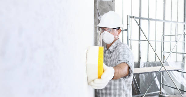 Best Basement Mold Removal  in Portales, NM